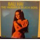 HAWAIIAN BEACH BOYS - Bali hai